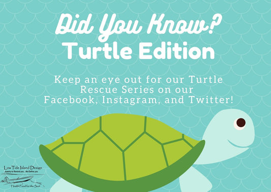 LTiD's Turtle Rescue Story